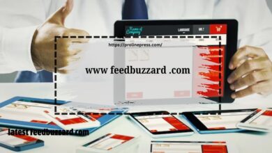 FeedBuzzard.com