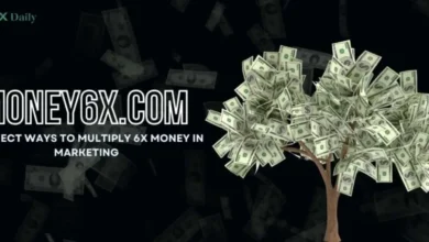 Money6x.com